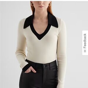 Express Silky soft fitted tipped v-neck polo sweater NWOT